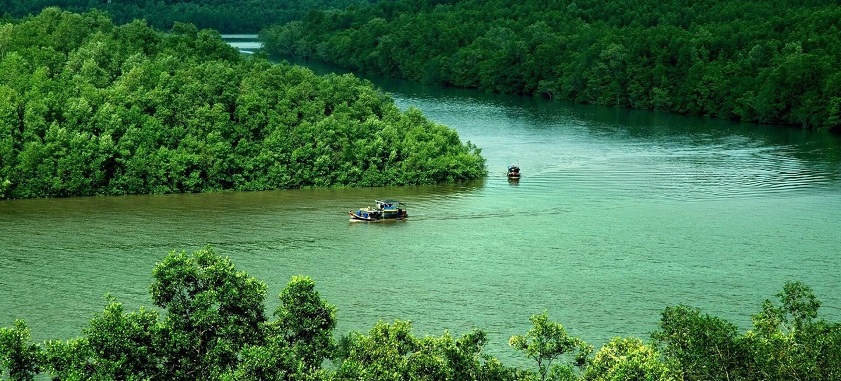 Admire the enchanting beauty of Can Gio Mangrove Forest, Vietnam