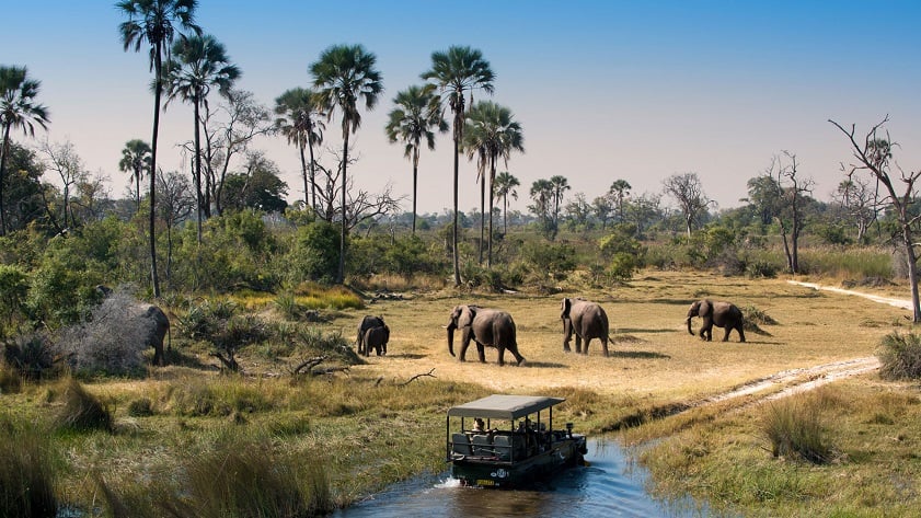Botswana is among the top cheap countries to visit from India