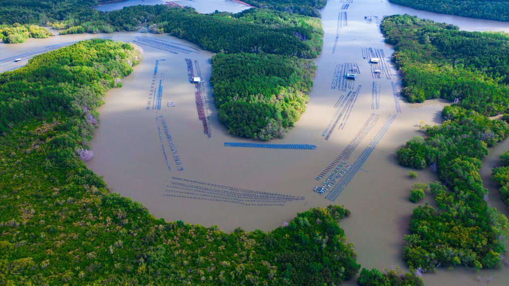 Can Gio, Vietnam