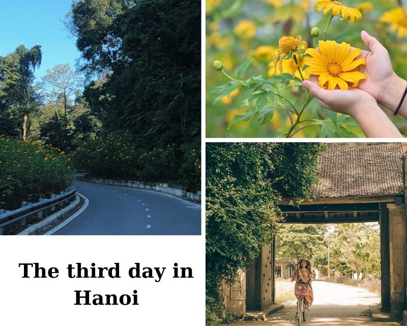 Da Nang to Hanoi