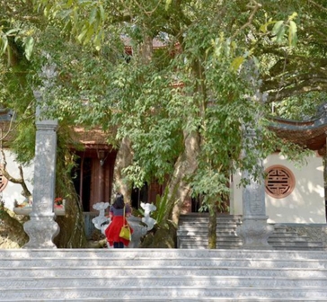 Đền Cấm Tuyên Quang