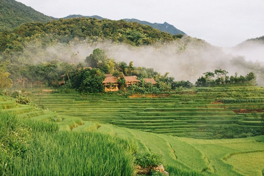 eco tours in vietnam involve mainly