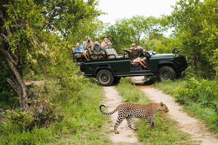 For spotting wildlife, South Africa is the best country to visit from India in August