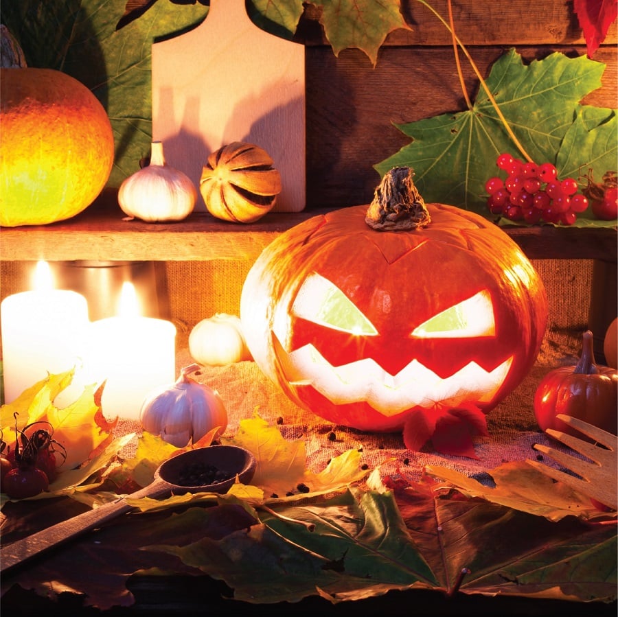 Halloween Pumpkins & Pumpkin Decorations | Grandin Road