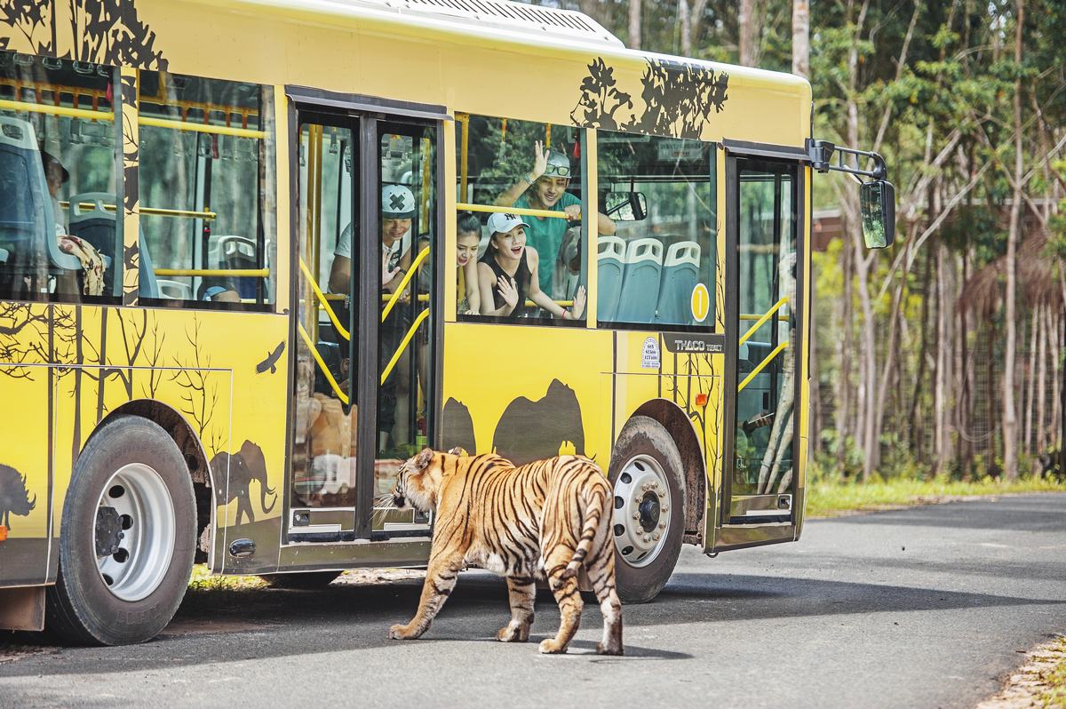 Vinpearl Safari Phu Quoc: What to bring when visiting wildlife? - Inn