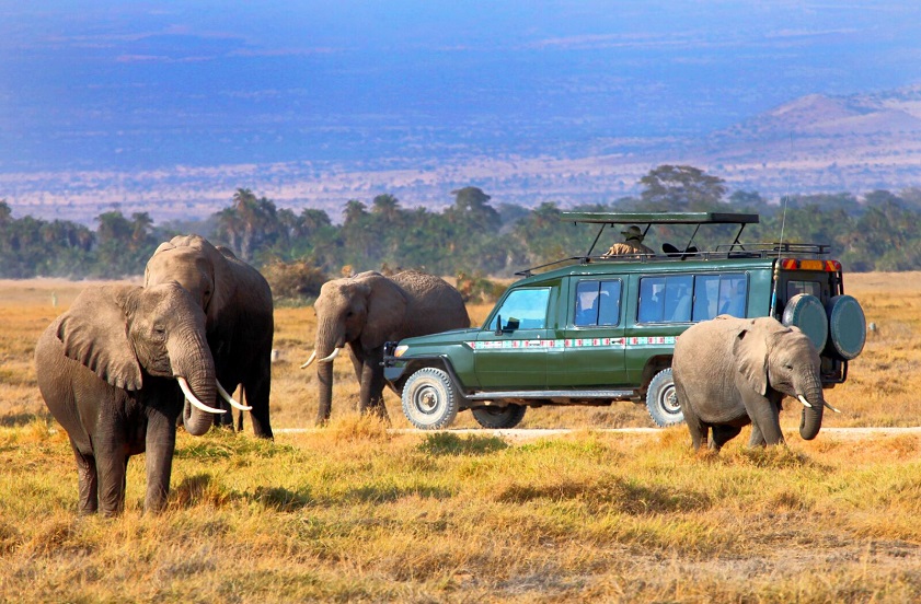 Maasai Mara is one of the best places to visit in February from India