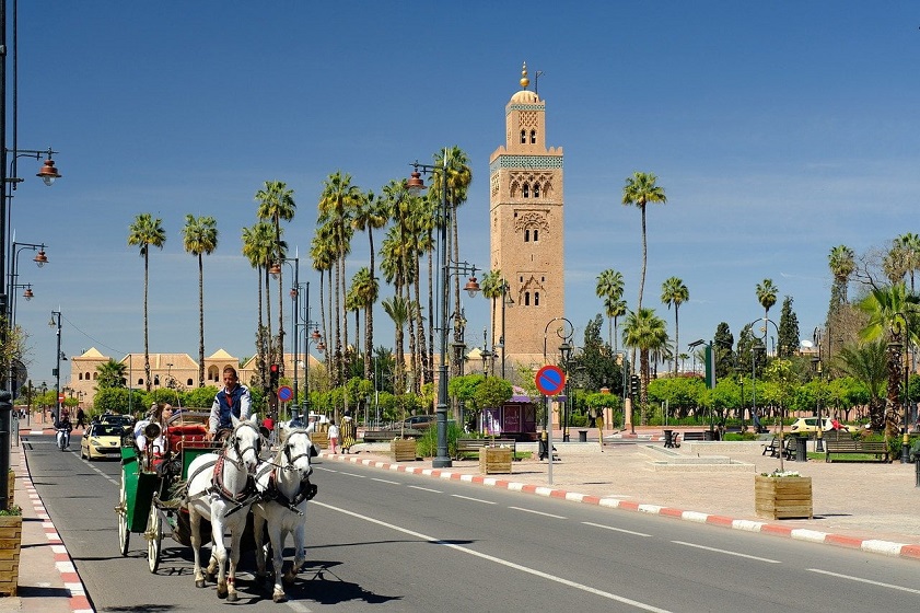 Marrakech buzzes with colors, spices, and surprises