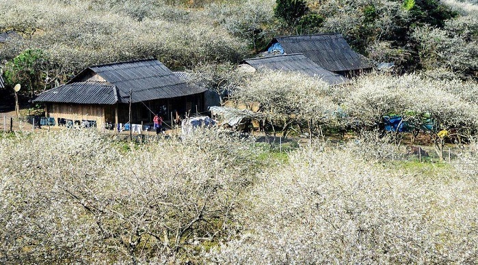 Na Ka Plum Valley