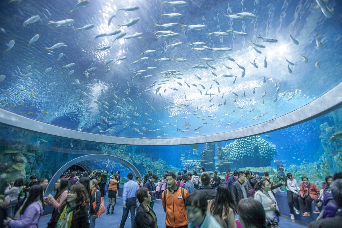 Established in 1923, the National Oceanographic Museum is one of the oldest scientific institutions in Vietnam