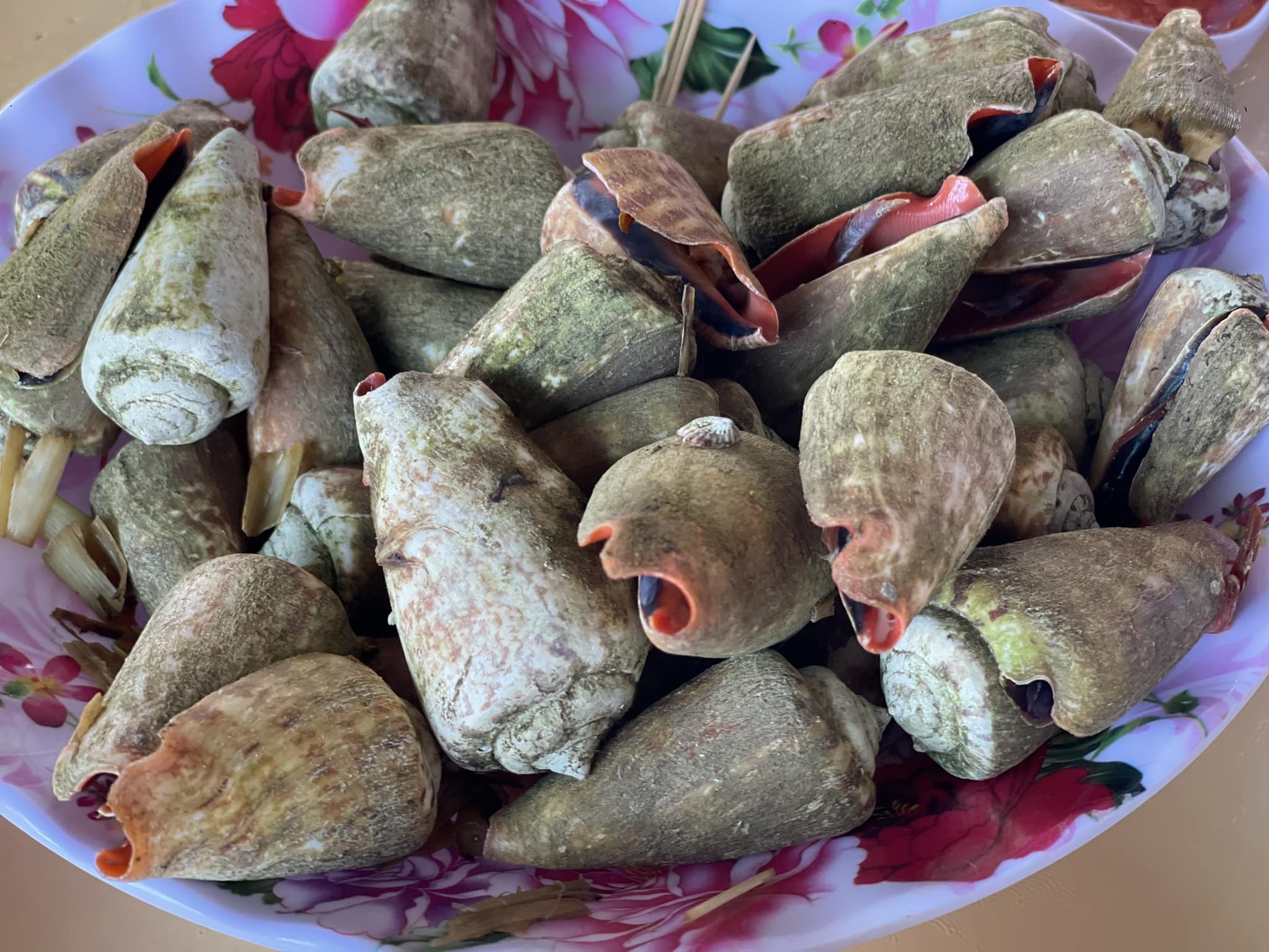  ốc nhảy Phú Quý