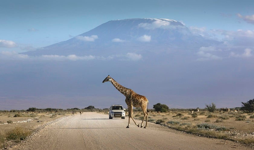 One of the best countries to visit from India if you love adventures - Kenya