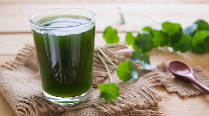 Pennywort juice