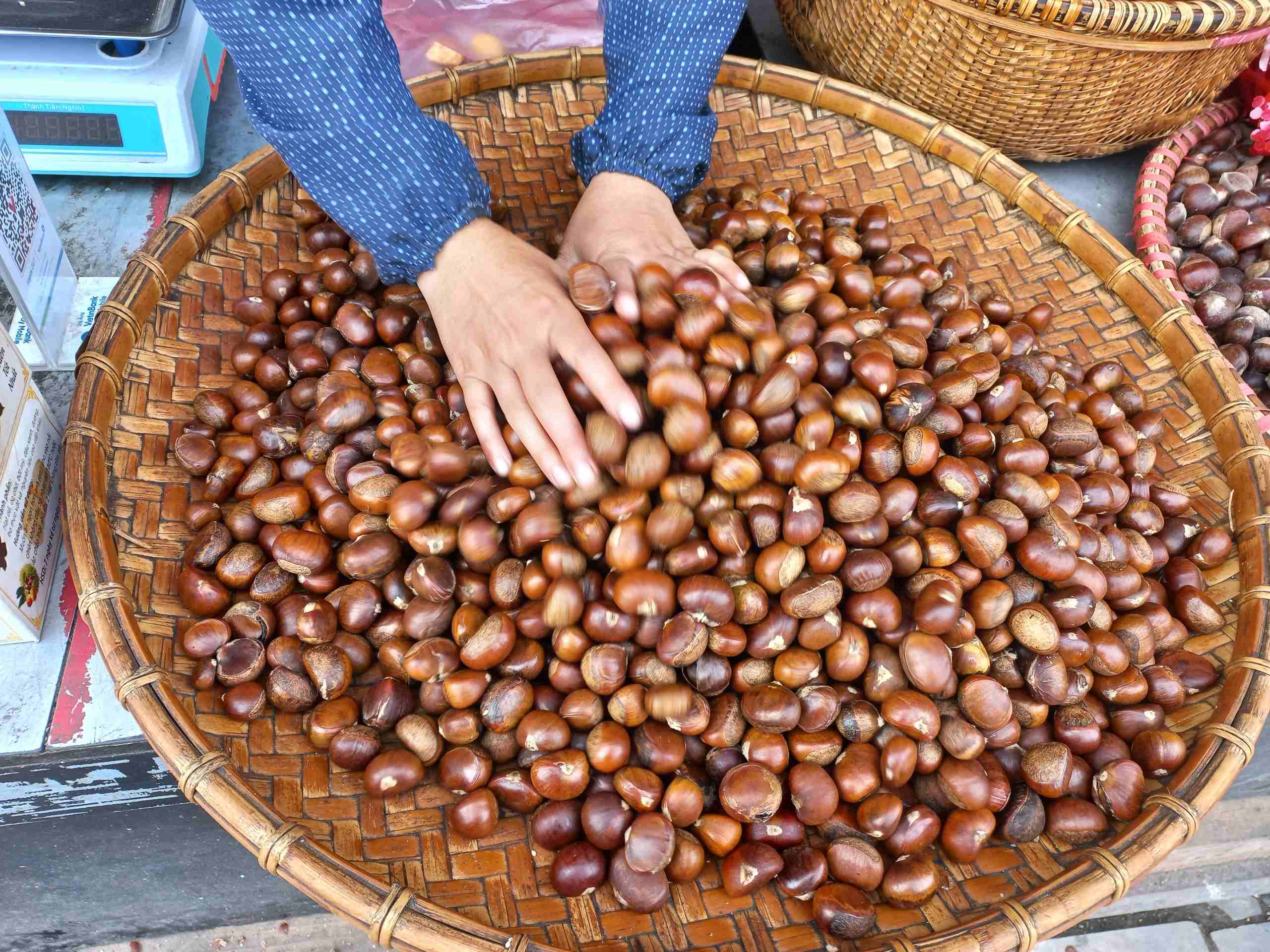 Roasted chestnut - a classic Sapa street food