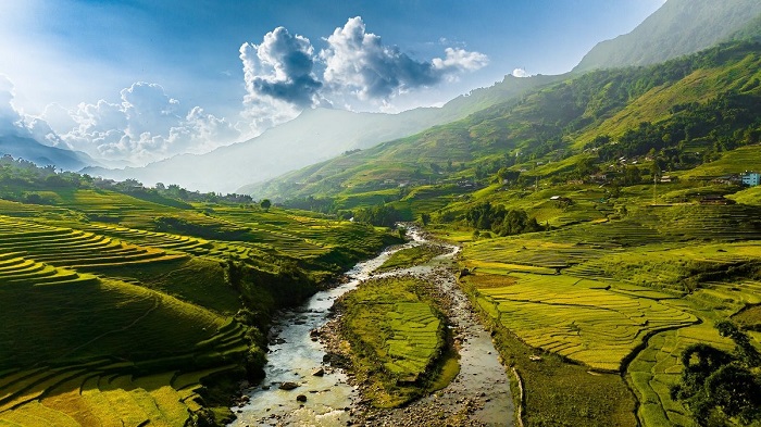 Sapa's rice fields
