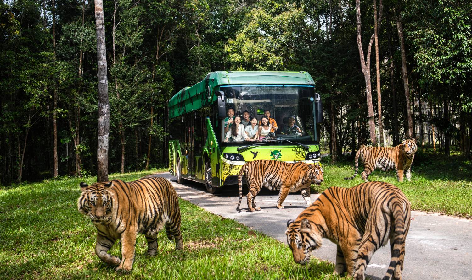 See diverse wildlife at Vinpearl Safari Phu Quoc