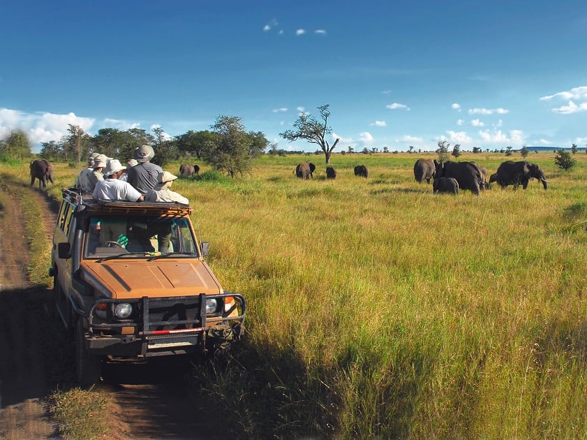 Tanzania is a must-visit destination on the list of best countries to visit in July from India