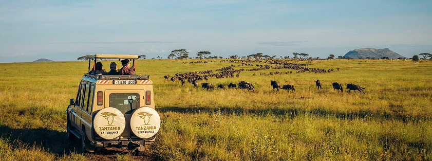 Tanzania’s rich wildlife captivates every tourist