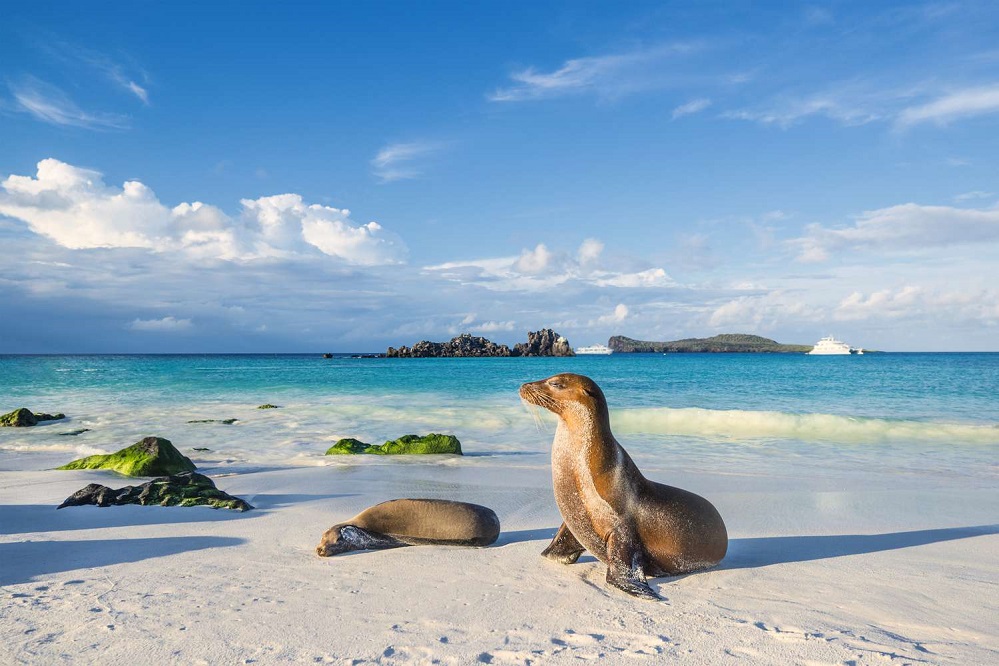 The Galapagos Islands