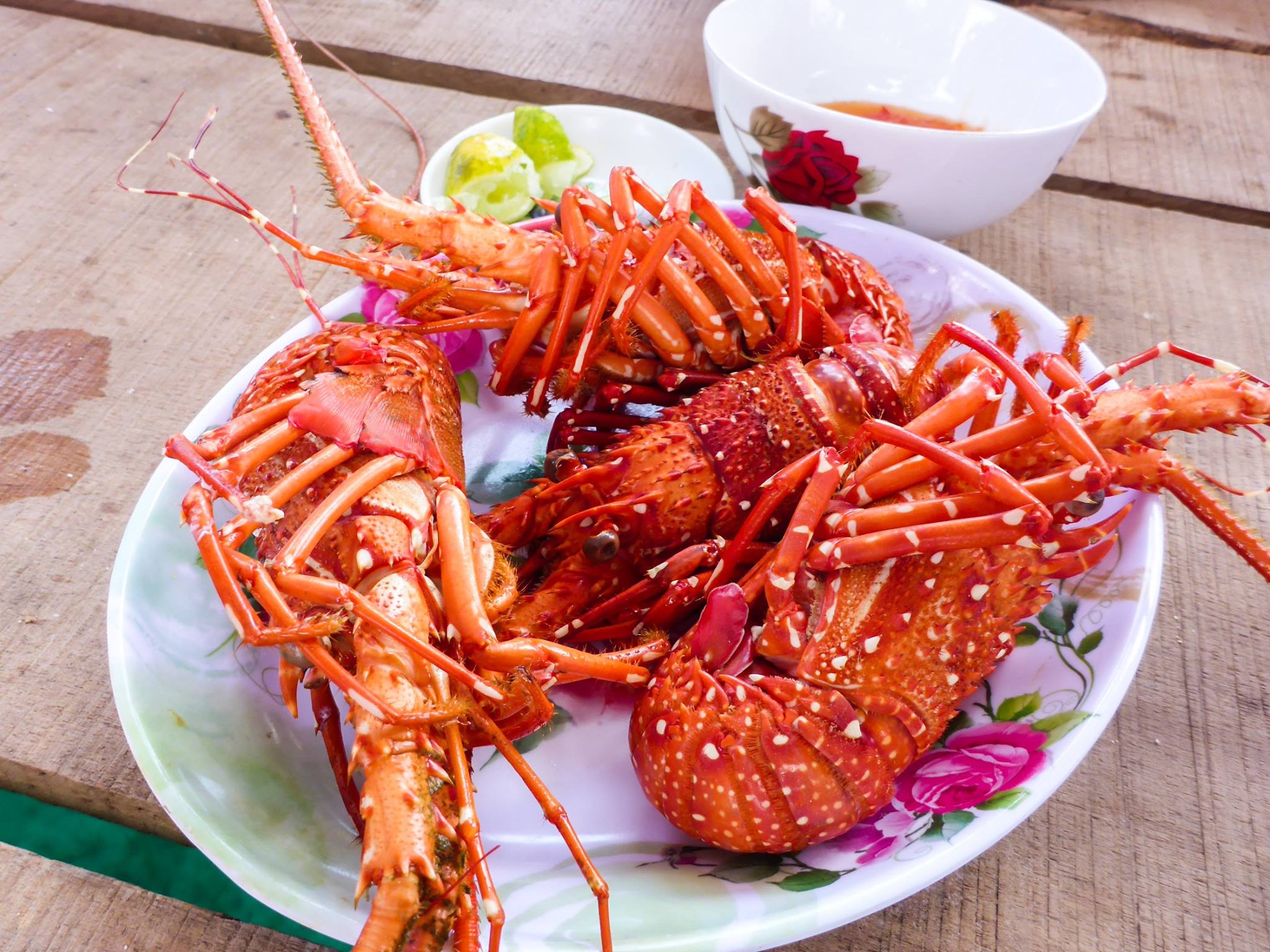 tôm hùm tại Phú Quý