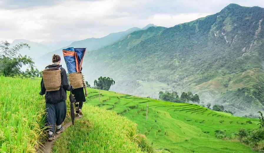 Trekking in Sapa