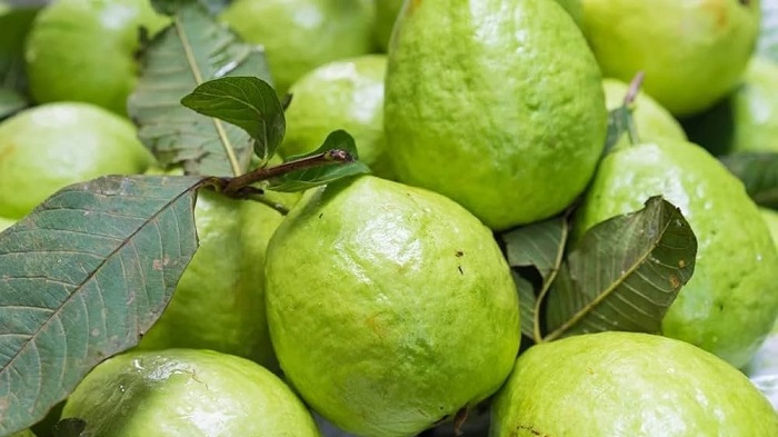 Vietnamese guava