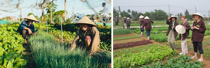 Visit Tra Que Vegetable Village to explore connect with nature