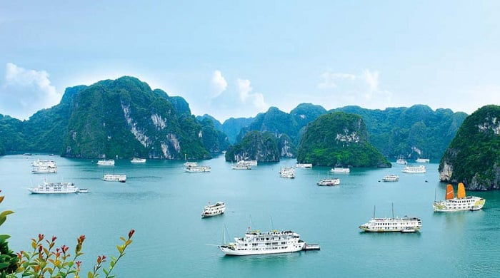 Bai Tu Long Bay vs Ha Long Bay