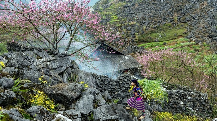 Best places to visit in Asia in January