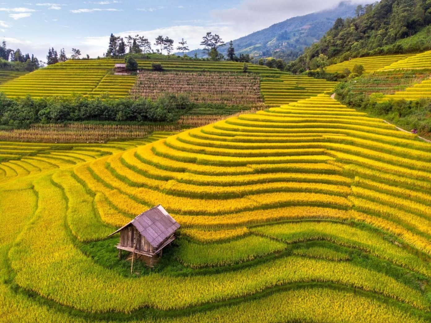Best places to visit in Vietnam in July