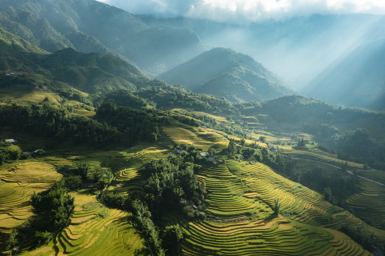Best time to visit Vietnam