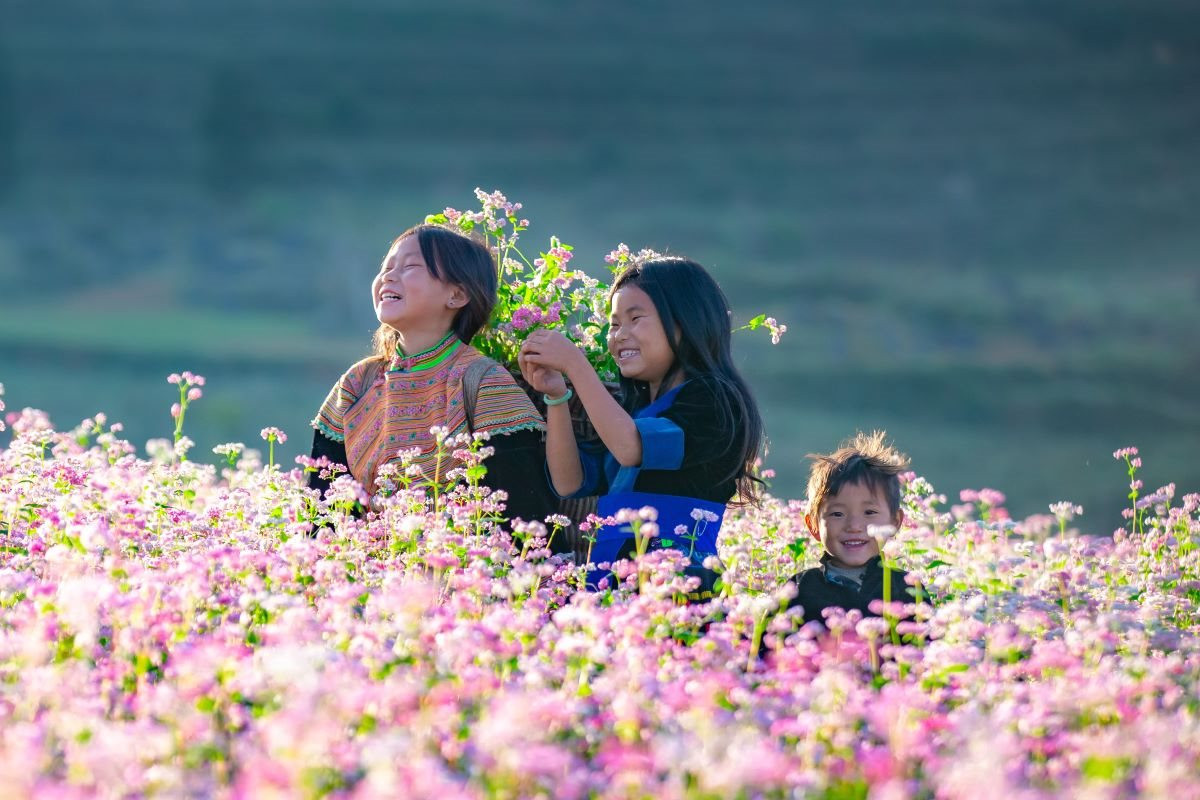 Best time to visit Vietnam