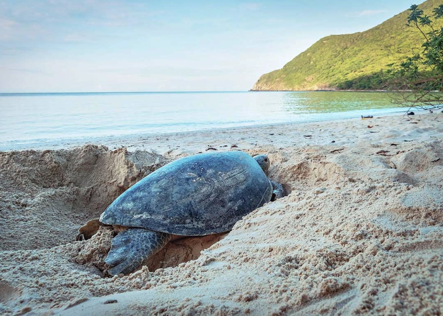 Best time to visit Con Dao Vietnam