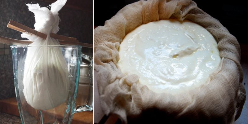 cách làm sữa chua Hy Lạp 