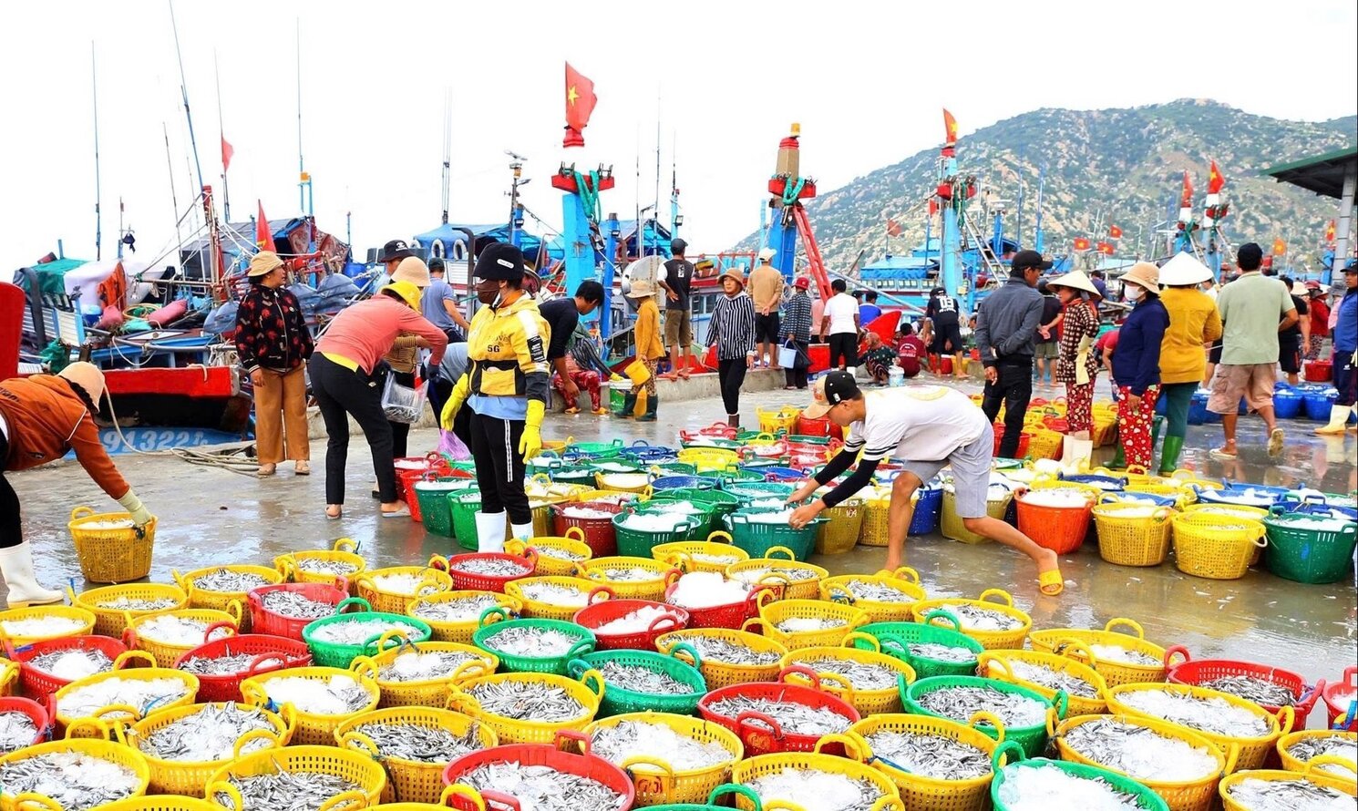 cảng cá Cà Ná Ninh Thuận