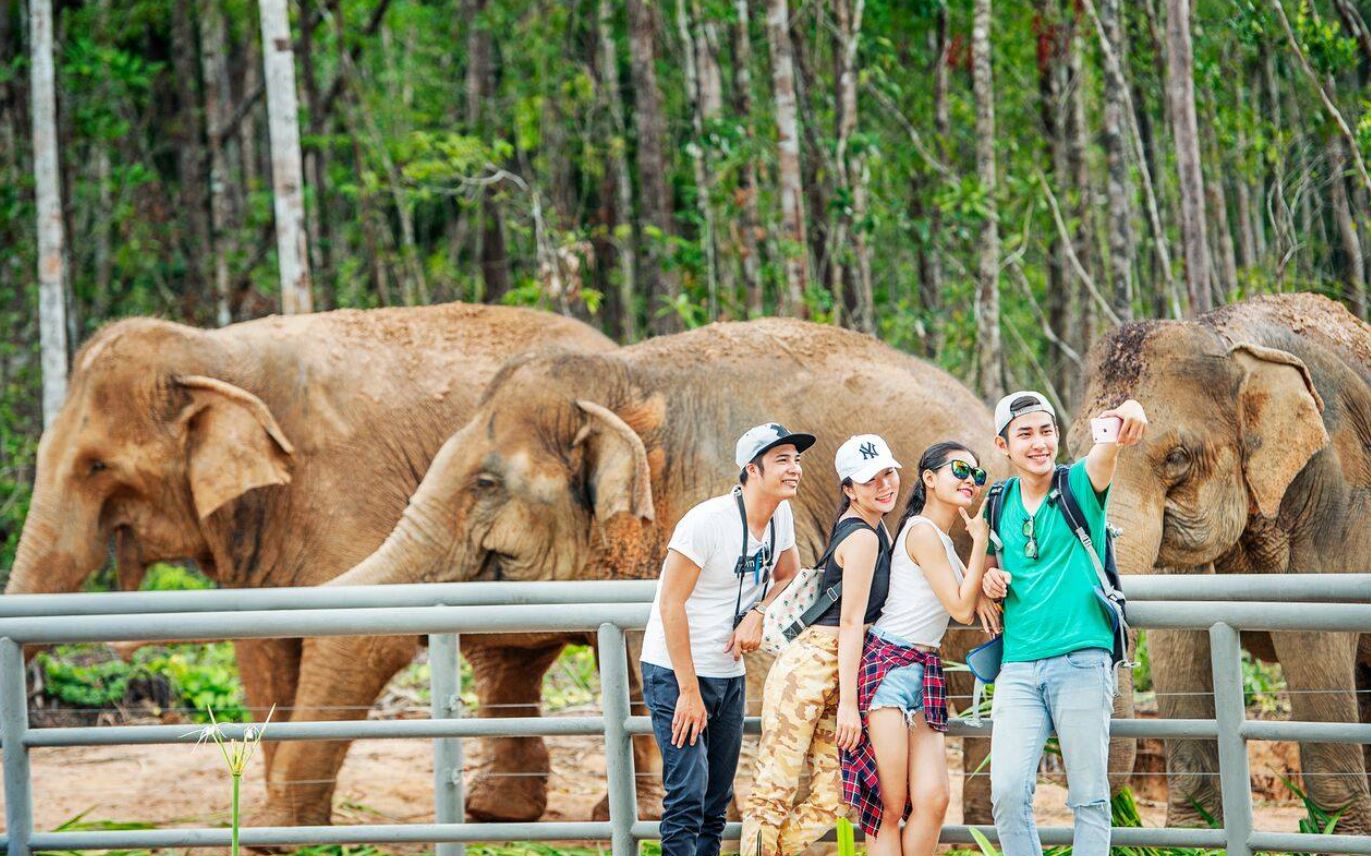 Check-in với voi tại Vinpearl Safari Phú Quốc