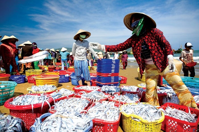 chợ hải sản Thanh Hóa