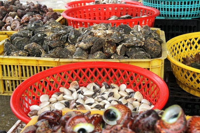 Chợ hải sản than hoa