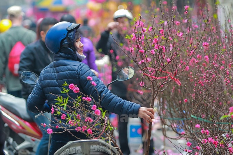 Chợ hoa Hà Nội
