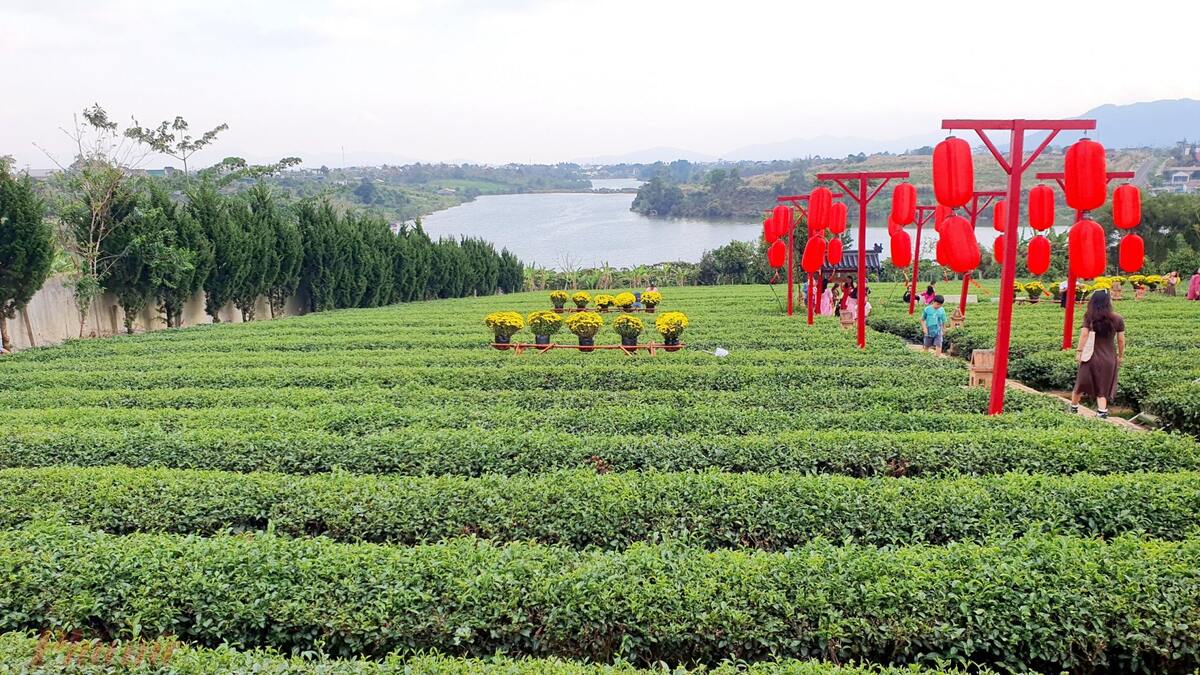 chùa Trà ở Bảo Lộc
