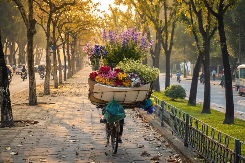 Climate in Vietnam
