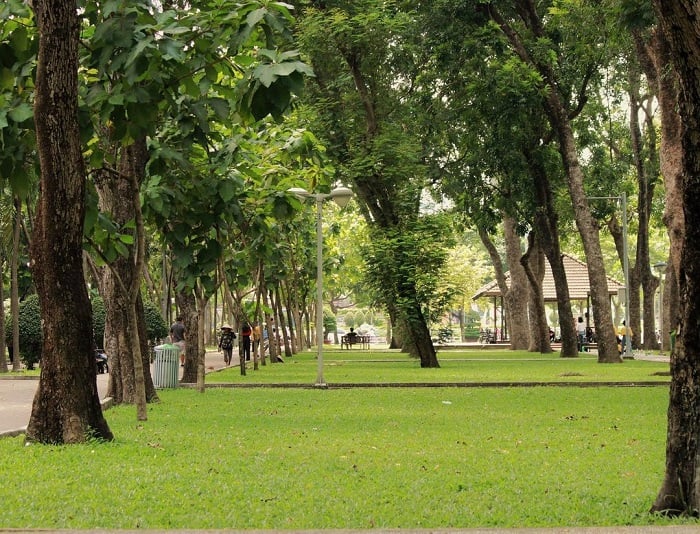Thành phố Hồ Chí Minh tăng thêm công viên cải thiện mảng xanh đô thị  Môi  trường  Vietnam VietnamPlus