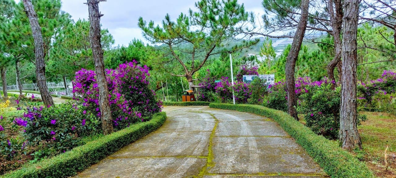 Công viên Rừng Hoa Đà Lạt