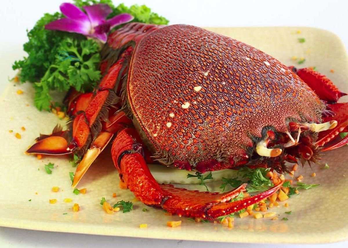 Cua huỳnh đế Lý Sơn