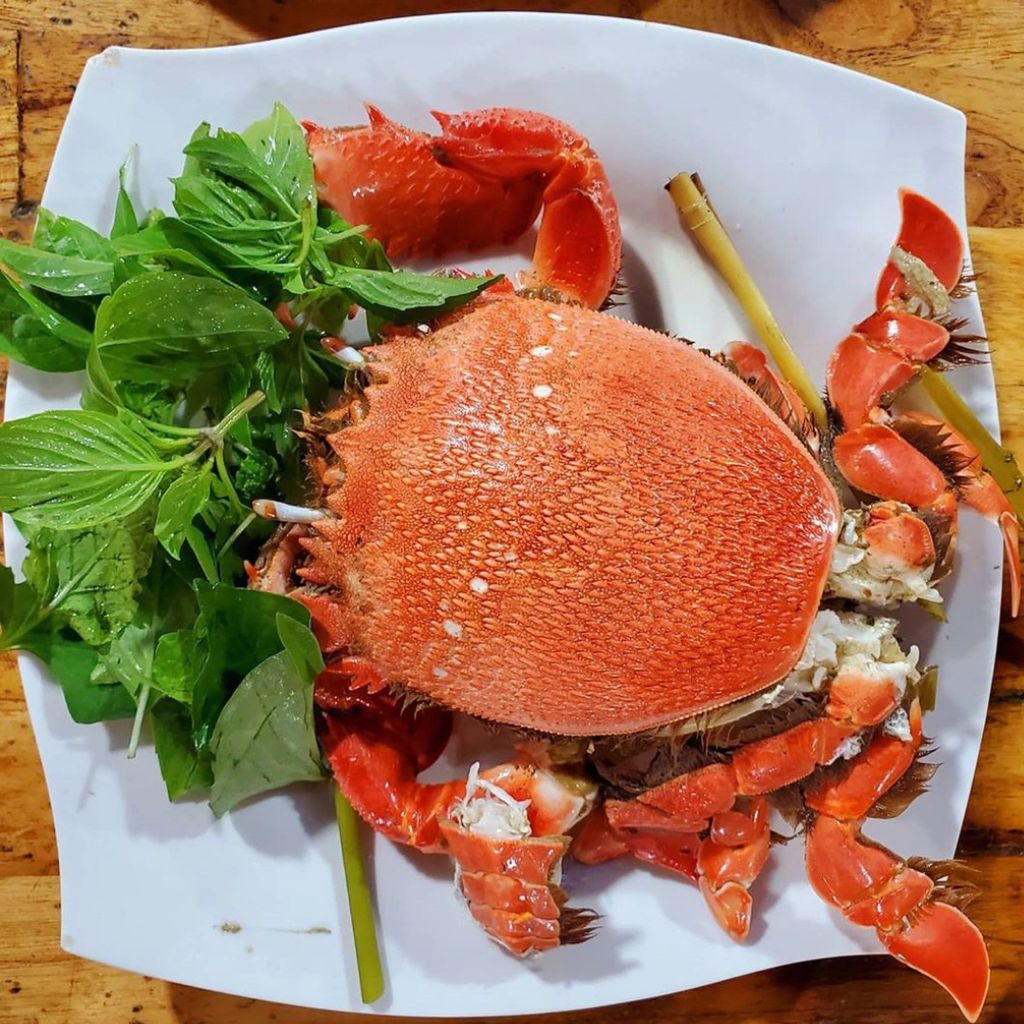 Cua huỳnh đế trên đảo Lý Sơn