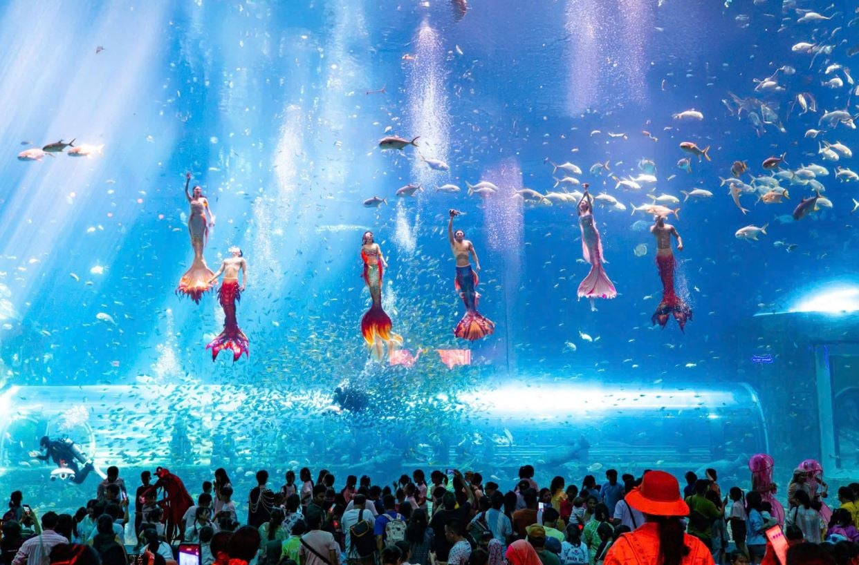 Show Sắc màu Đại Dương tại Cung điện Hải Vương Phú Quốc