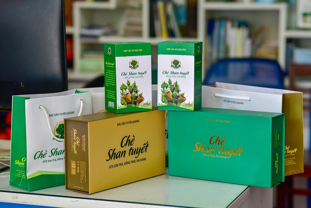 Đặc sản chè Shan Tuyết Na Hang Tuyên Quang