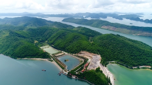 Đảo Thẻ Vàng
