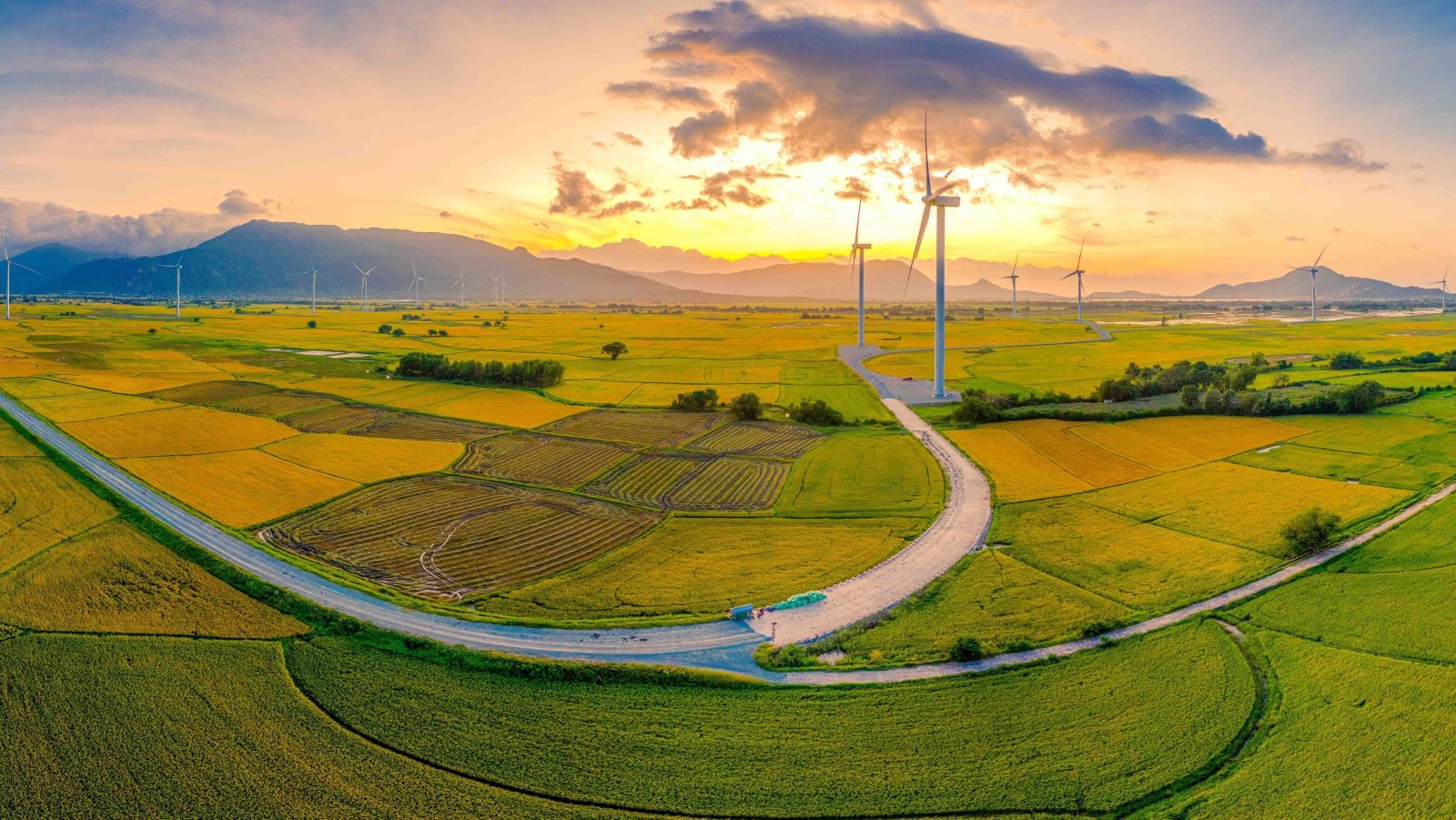 Điện gió Đầm Nại Ninh Thuận