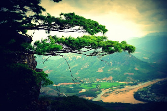 đỉnh Am Thông