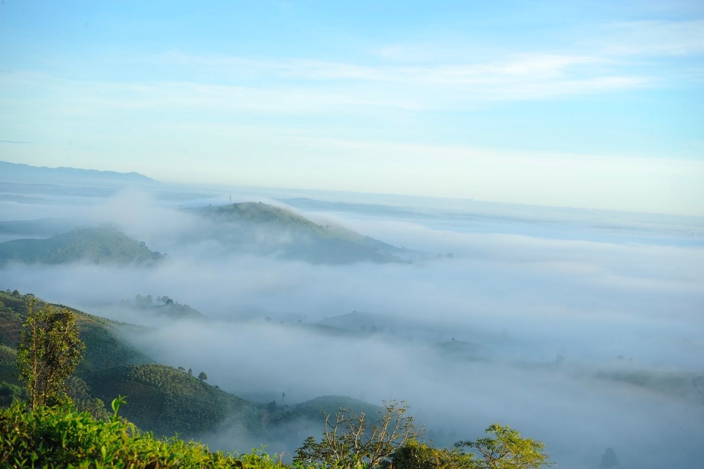 đồi Lam Sơn Bảo Lộc